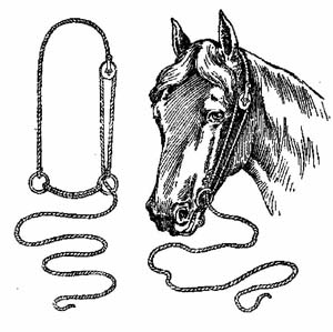 Click to See the Pulley Breaking Bridle!